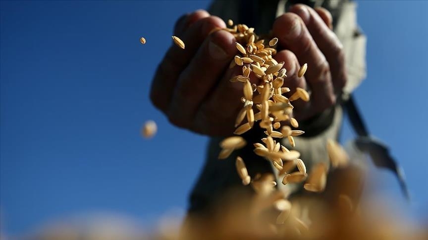 Selling trend picks up in commodity markets