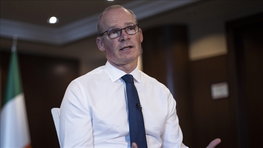 Extending UN mandate on humanitarian aid to northwest Syria crucial: Top Irish diplomat