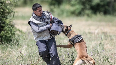 TSK'nın 'cesur keşif köpekleri' Bursa'da yetiştiriliyor