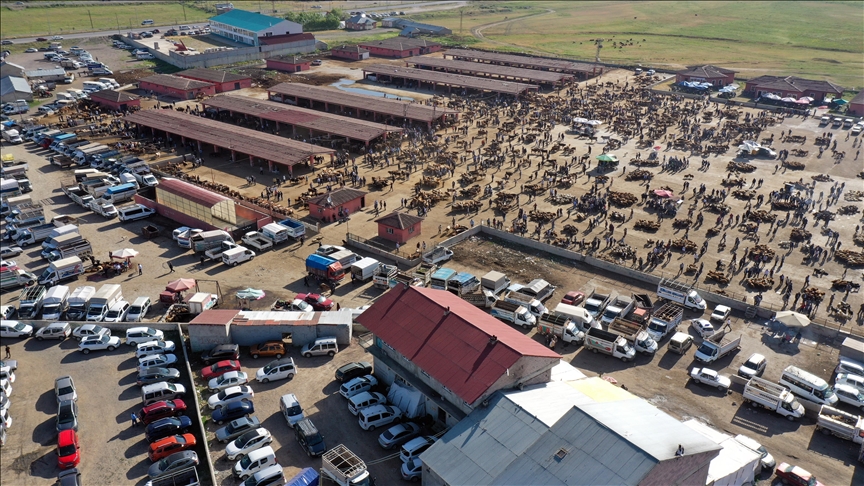 Heywandarên Agiriyî dewarên xwe yên qurbanê derxistin bazarê