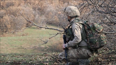 Turkish forces 'neutralize' 5 PKK terrorists in northern Iraq