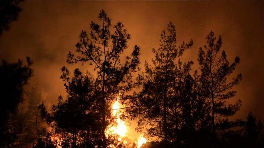 Petugas berjuang padamkan kebakaran hutan di Turki selatan