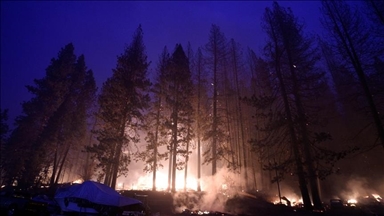 Во многих регионах США продолжаются лесные пожары