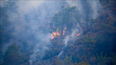 İçişleri Bakanlığı, orman yangınlarına karşı valilikleri yeniden uyardı