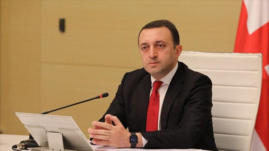 Гарибашвили счел несправедливым решение Еврокомиссии по Грузии