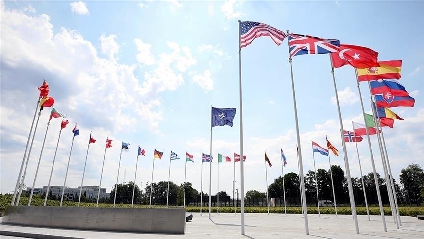 Поддержка НАТО в странах-союзниках выросла