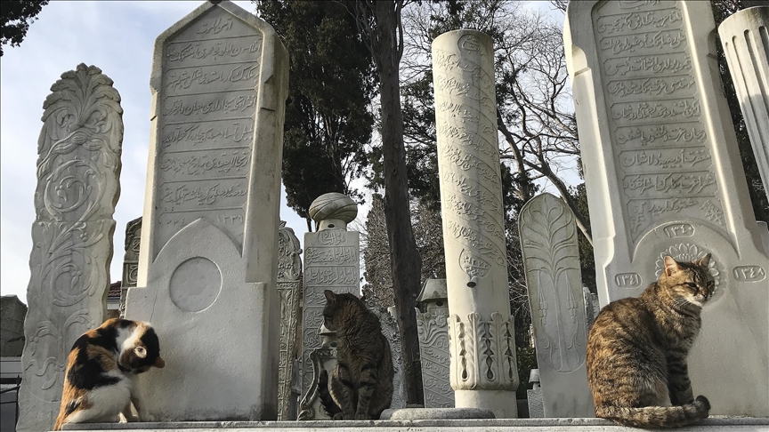 France : le Conseil d’État se penche sur les carrés musulmans dans les cimetières