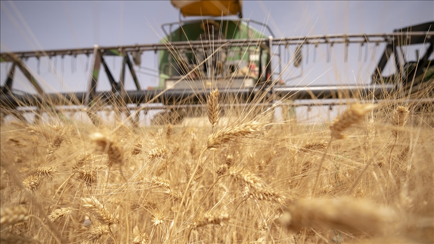 Tunisie : les agriculteurs pour une « souveraineté alimentaire » (Interview)