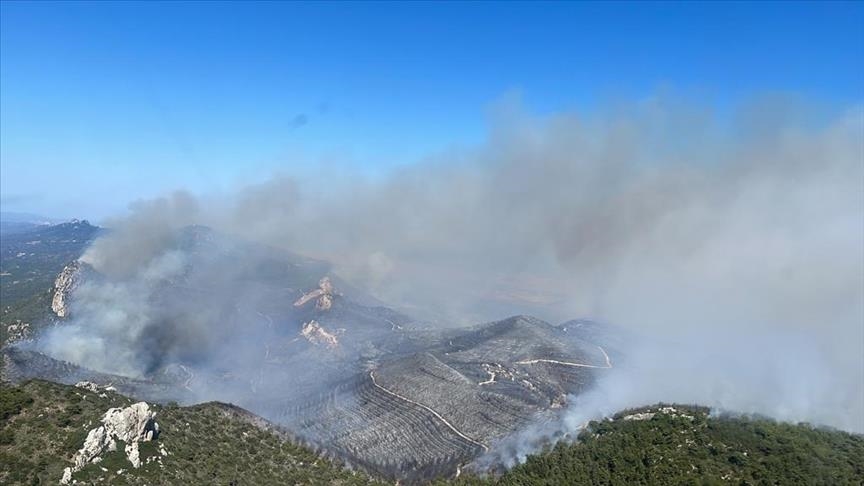 Turki kirim 2 pesawat untuk bantu padamkan kebakaran hutan di Siprus Utara