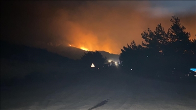 В ТРСК продолжается борьба с лесными пожарами