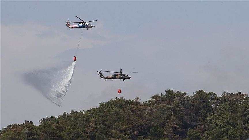 Туркије: Шумскиот пожар во Мармарис ставен под контрола