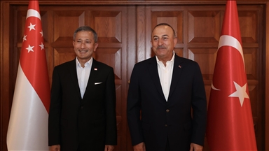 Глава МИД Турции Чавушоглу встретился со своим сингапурским коллегой
