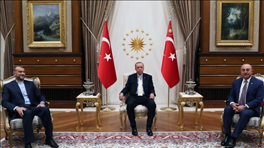 دیدار اردوغان با امیرعبداللهیان