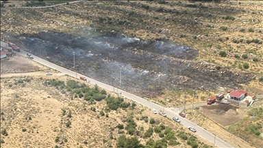 İzmir'de ormanlık alanda çıkan yangın söndürüldü