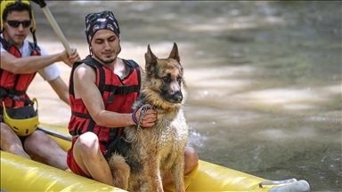 Alman kurt köpeği 'Leo' Bursa'daki rafting turlarının maskotu oldu