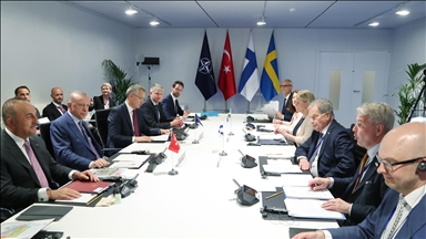 Türkiye, NATO, Finland, Sweden begin 4-way talks in Madrid