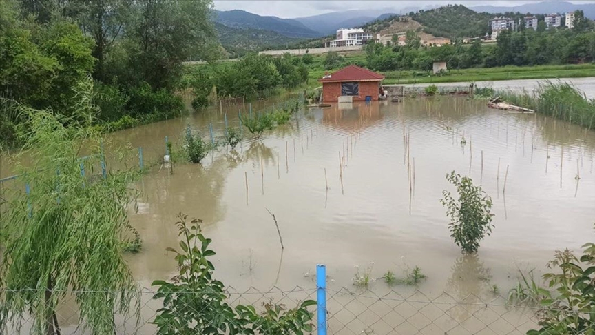 Sinop'ta su altında kalan tarım arazileri zarar gördü