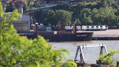 سفينة شحن تركية تصل البلاد قادمة من ماريوبول الأوكرانية
