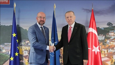 Sommet de l'OTAN: Erdogan reçoit le président du Conseil européen Charles Michel