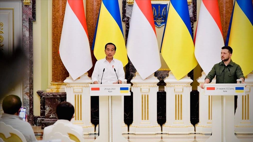 Jokowi bertemu Zelenskyy di Kyiv, tekankan pentingkan kedaulatan wilayah