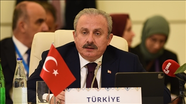 Спикер парламента Турции призвал к реформированию СБ ООН