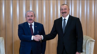 دیدار رئیس مجلس ترکیه با رئیس جمهور آذربایجان