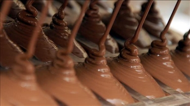 Belgjikë, një tjetër rast i salmonelës në çokollata
