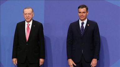 Эрдоган и Санчес провели переговоры в Мадриде
