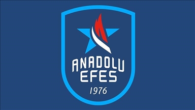Anadolu Efes sign French forward M’Baye