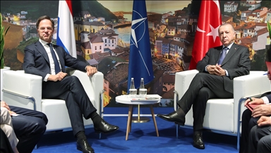 Эрдоган и Рютте провели переговоры в Мадриде
