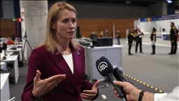 Премьер Эстонии: Участие Швеции и Финляндии в НАТО - вклад в безопасность Балтии