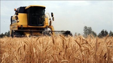 İran: Karadeniz'de oluşturulacak tahıl koridoruna katkı sağlamaya hazırız