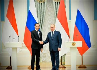 Putin dan Jokowi bahas isu Ukraina dan perdagangan pada pertemuan di Moskow