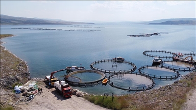 Kayseri’den balık ihracatıyla Türk ekonomisine 30 milyon dolarlık katkı