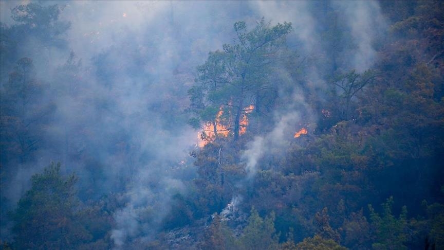 Црна Гора: Голем пожар избувна над Херцег Нови
