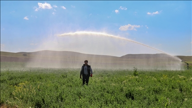 صرفه جویی 50 درصدی آب در استان وان ترکیه با سیستم‌های آبیاری مدرن