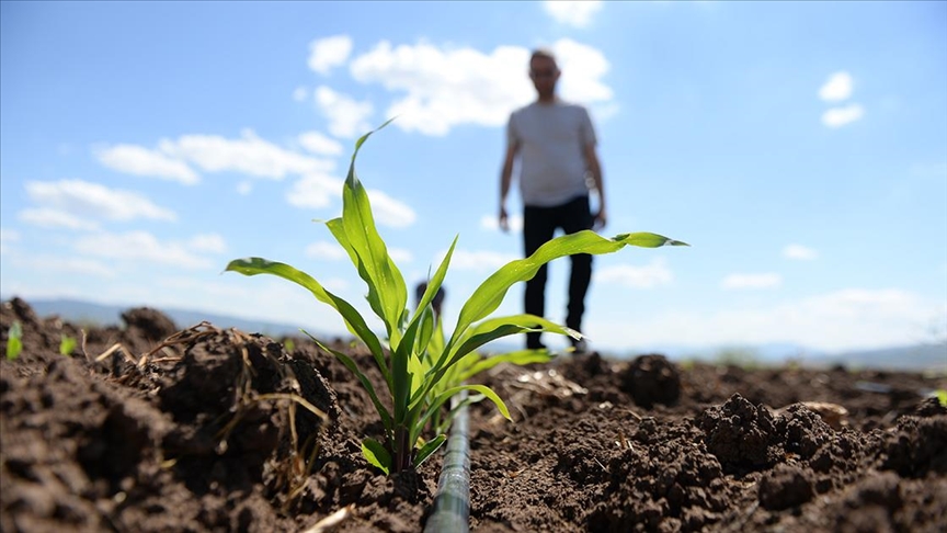 Bingöl'de toprağı besleyerek verimi artıracak organik gübre üretildi
