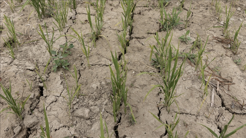 Spain faces one of driest years on record