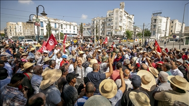 حملة تونسية تدعو لمقاطعة الاستفتاء على الدستور