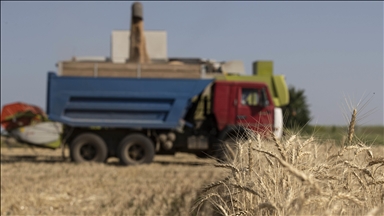 Ukrajina: U lukama u Odesi čeka šest miliona tona žitarica