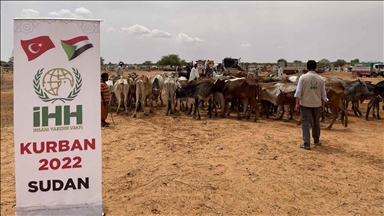 "الإغاثة التركية" تعتزم توزيع لحوم على آلاف الأسر السودانية