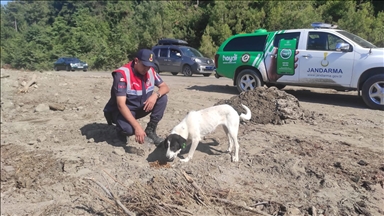 Jandarma, sel bölgesindeki sahipsiz hayvanlara da sahip çıkıyor