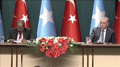 Эрдоган: Турция продолжит активную поддержку Сомали