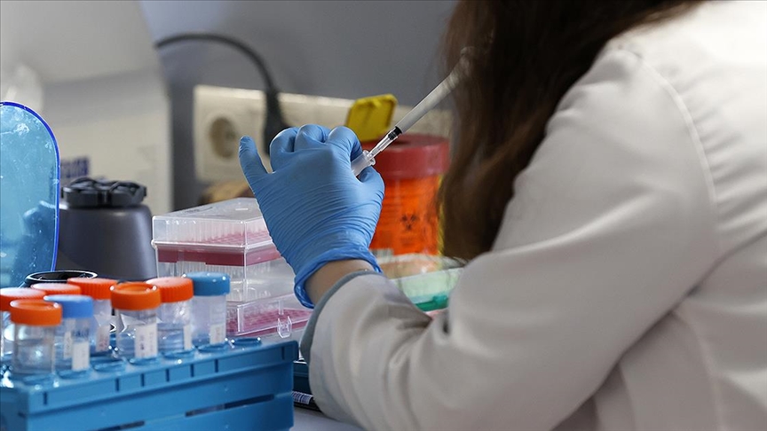 DSÖ'ye göre dünya genelinde maymun çiçeğinden 3 kişi öldü