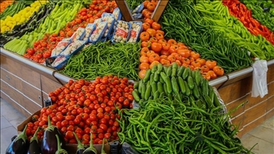 Россия - лидер по закупке свежих фруктов и овощей из Турции