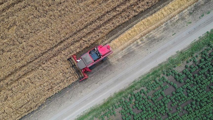 Global food prices continue falling for 3 months in row