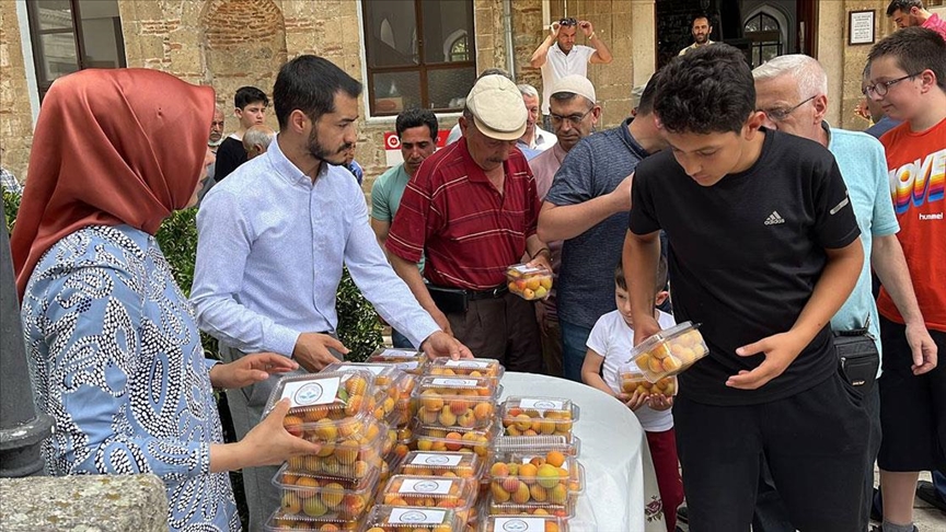 Isparta'da öğrenciler, okulun bahçesinde ilaç kullanmadan kayısı yetiştirdi