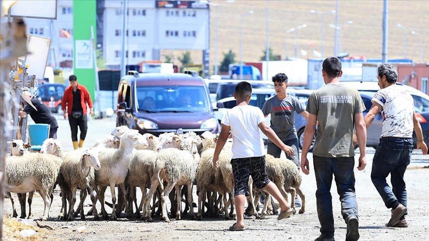 İstanbul'daki kurban pazarları toplanıyor