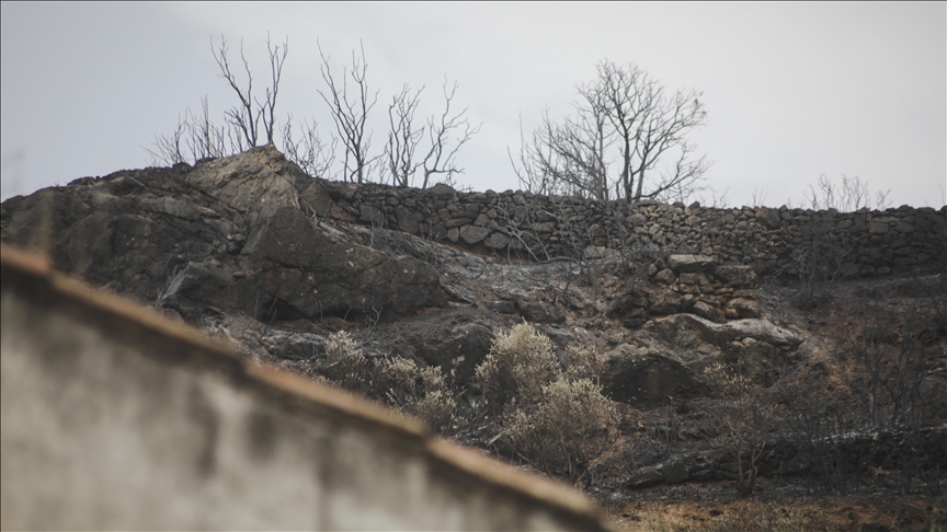 5 towns evacuated as wildfire rages in western Spain 5 towns evacuated as wildfire rages in western Spain