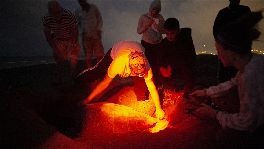 Üniversite öğrencilerinden deniz kaplumbağaları için 'gönüllü nöbet'
